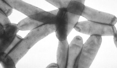 Legionella bacteria discovered inside Oakland County Circuit Court