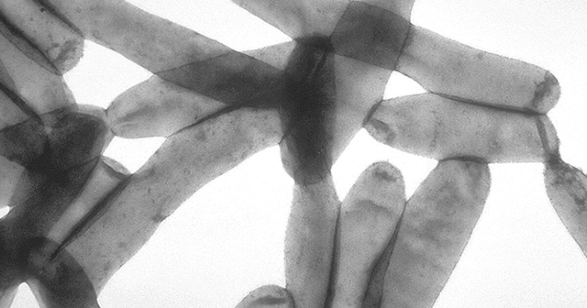 Legionella bacteria discovered inside Oakland County Circuit Court