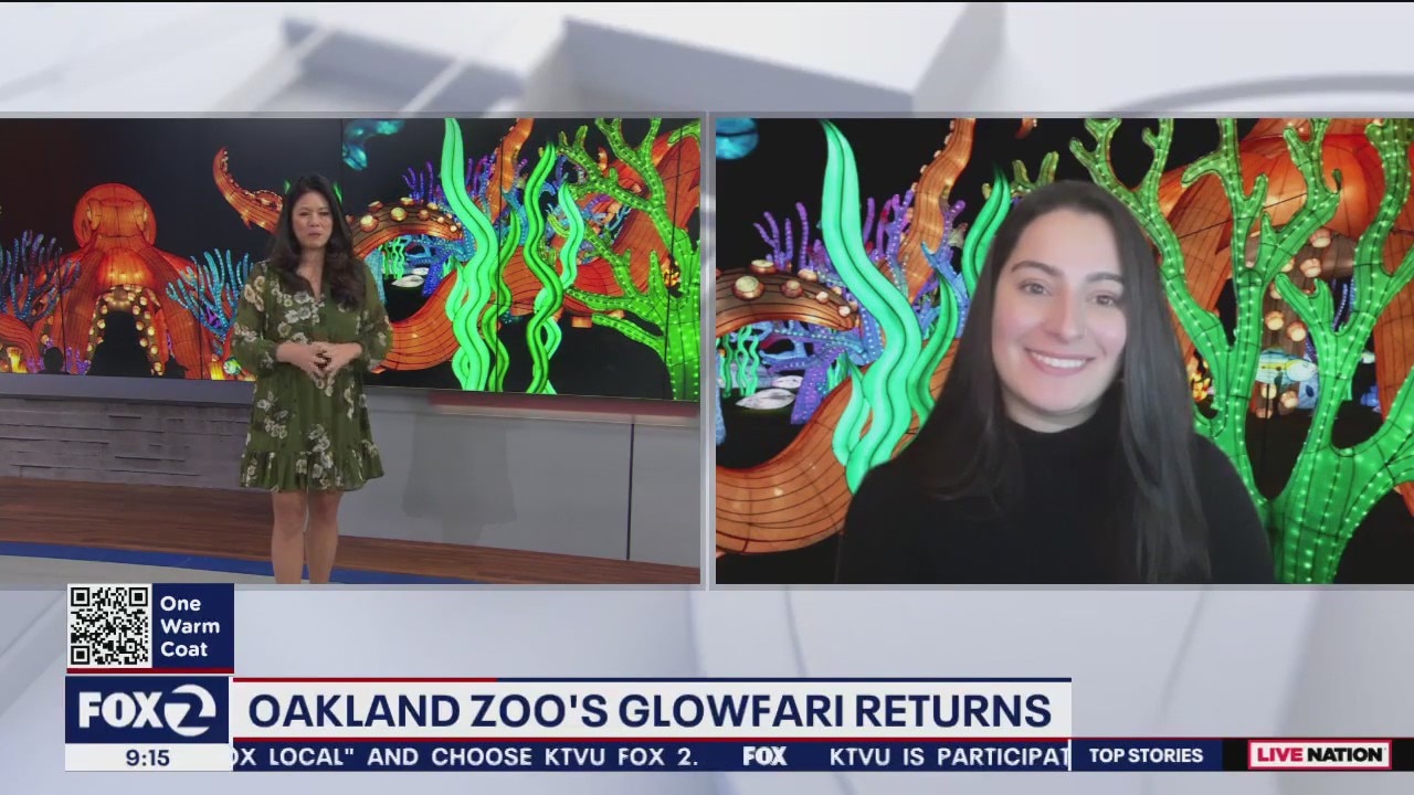 Glowfari returns with a new theme