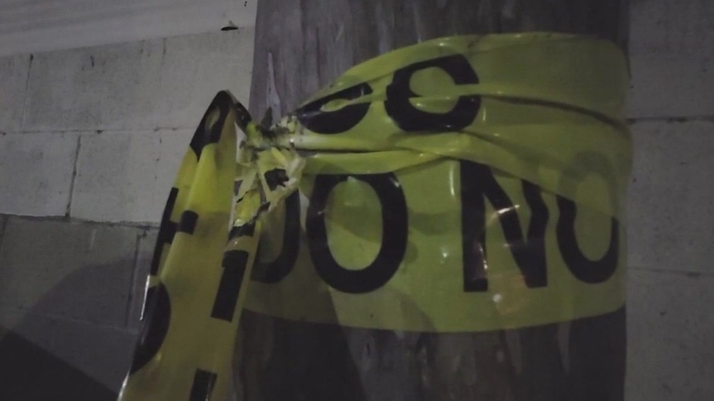 OC man accused of killing pregnant dog