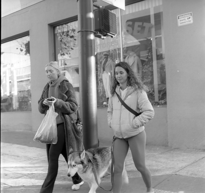 Two women walk on a city sidewalk; one holds a shopping bag, the other holds a dog on a leash. A storefront window and a crosswalk signal are visible in the background.