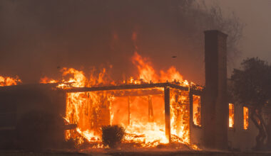 California is too easy on insurers, strangles competition