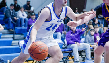 Lions beat Winona | Ozark County Times