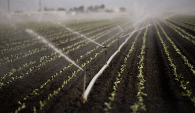 Lawmakers seek to speed up $10 billion climate bond