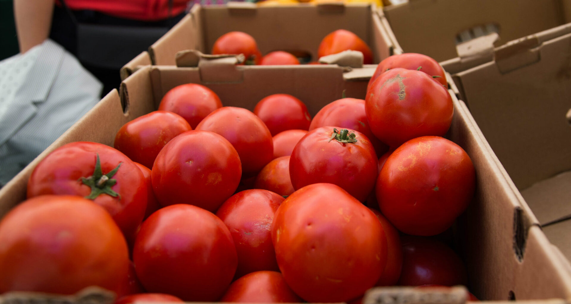 Oak Park Farmers Market in Sacramento shutting down