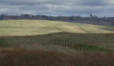 SMUD cancels power agreement with Coyote Creek solar farm project