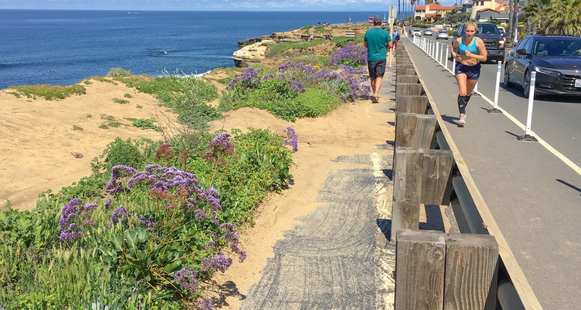 Plan to preserve Sunset Cliffs from climate change rattles residents