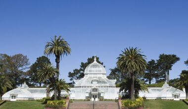 The San Francisco Conservatory of Flowers