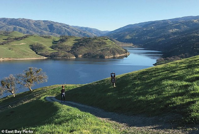 An early rainy season caused the toxic mushrooms to pop up in greater numbers in forested parts of the Bay Area, such as Del Valle Regional Park (pictured), which is managed by the East Bay Regional Park District