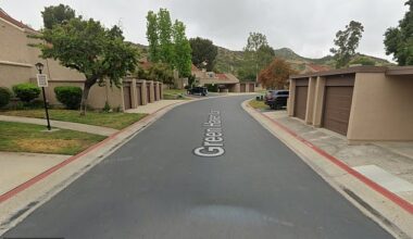 Earlier this month, 115 residents of San Vicente Country Villas II in San Diego - with one street known as the Green Haven condos - lost their insurance after an overgrown creek bed was flagged as a wildfire risk