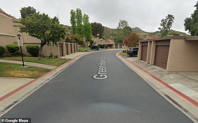 Earlier this month, 115 residents of San Vicente Country Villas II in San Diego - with one street known as the Green Haven condos - lost their insurance after an overgrown creek bed was flagged as a wildfire risk