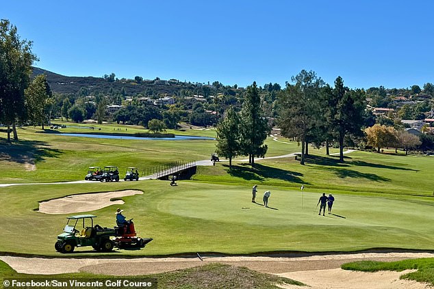 The creek bed, wedged between residents' homes and a golf course, is choked with 20- to 30-foot-tall trees, dense brush, dead reeds and debris
