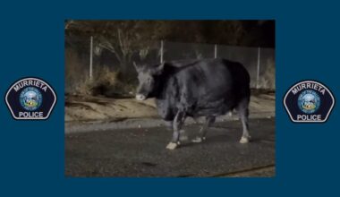 United Press International