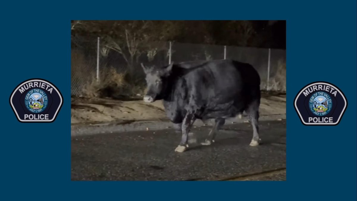 United Press International