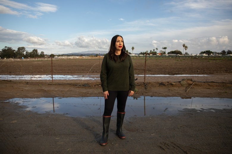 A person wearing a green sweater stands on the side of a road next to puddles of water and overlooking a muddy field.