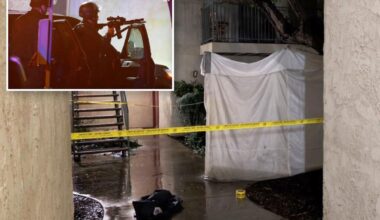 Off-duty ICE agent gunned down 'active shooter' neighbor