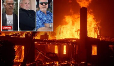 Palisades Fire victims file wrongful death lawsuits against Los Angeles
