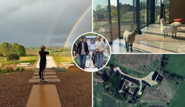 Ellen DeGeneres just bought another home in California