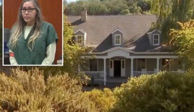 California 'Party Mom'  hosted parties where teen girls were treated like 'sex objects'