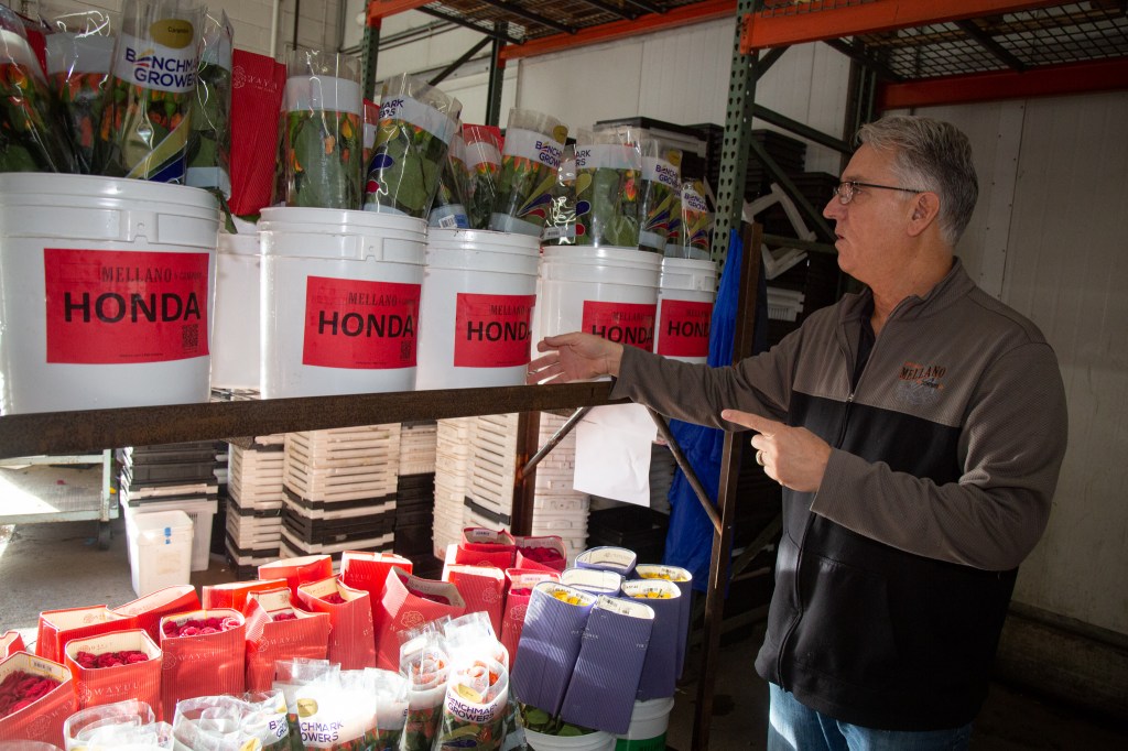 A century-old LA business helps bring Rose Parade floats their floral finesse – Pasadena Star News