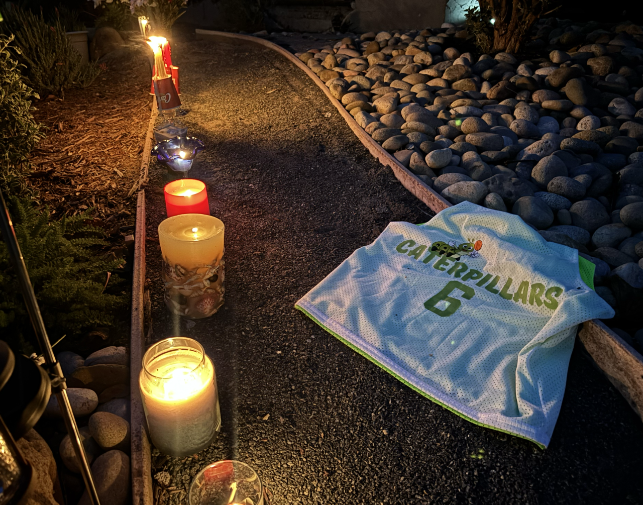 MONICA COATES BAY PARK HOMICIDE