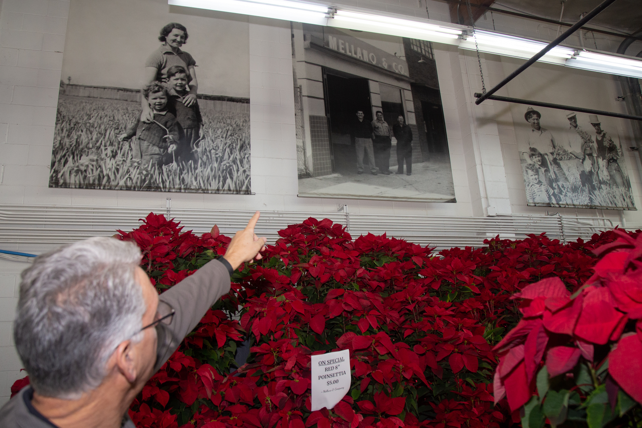 Bob Mellano points out some family photos hanging on the...