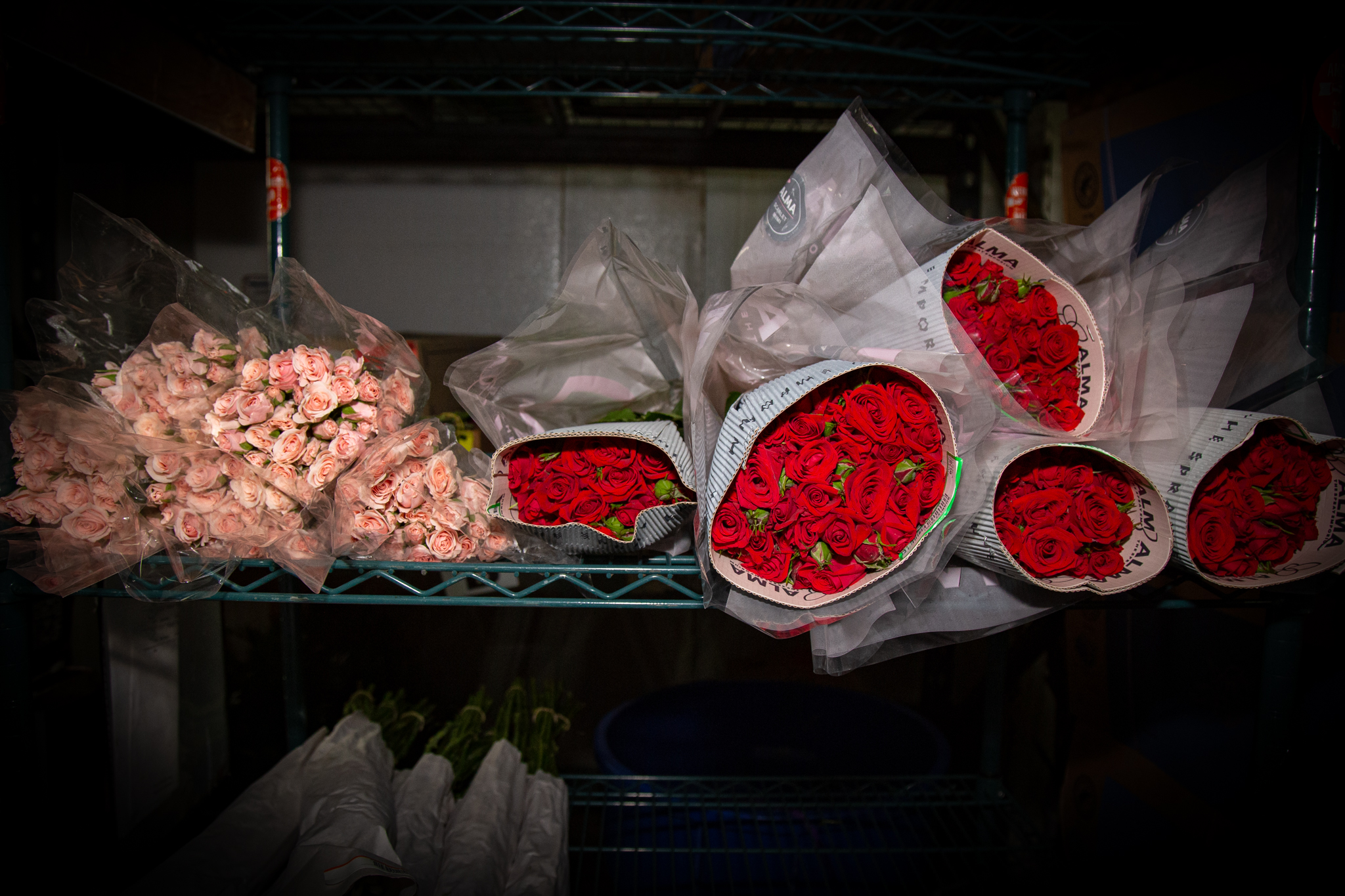 Roses ready to ship at Mellano & Company on Saturday,...