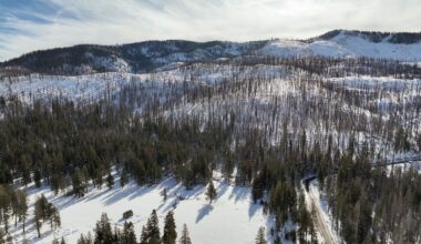California's vital snowpack at 71% of normal after December storms