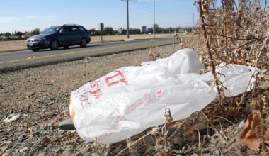 Law closing loophole in California's plastic bag ban takes effect in new year