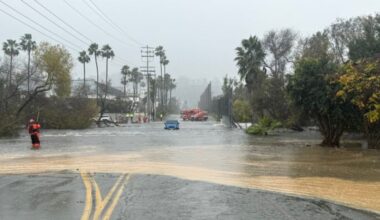 Lifeguards rescue adult, child trapped in car in Fashion Valley