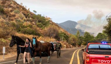 Orange County’s new initiative to rescue large animals during emergencies – Orange County Register