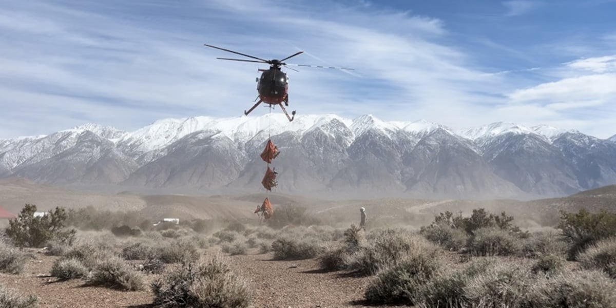 Agency to conduct helicopter captures of deer, elk, wolves in northern California