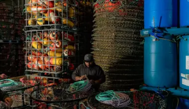 The San Francisco Standard