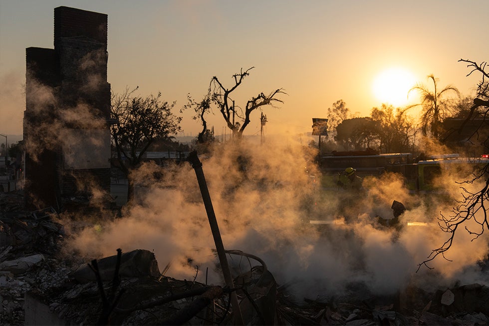 Photo of firefighters working in a smoking burnt area. 