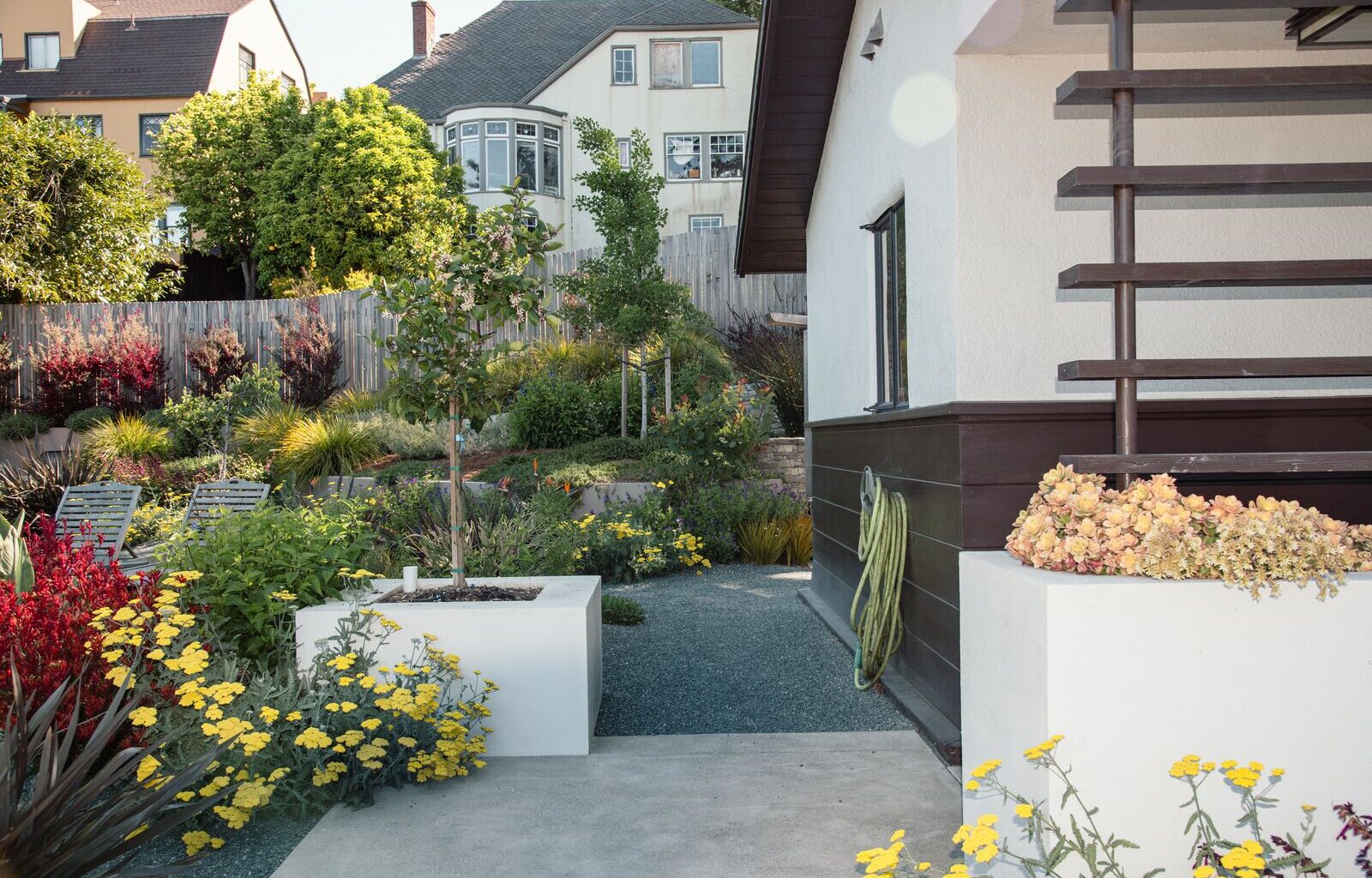 Berkeley Hills 5-foot vegetation ban is now in effect