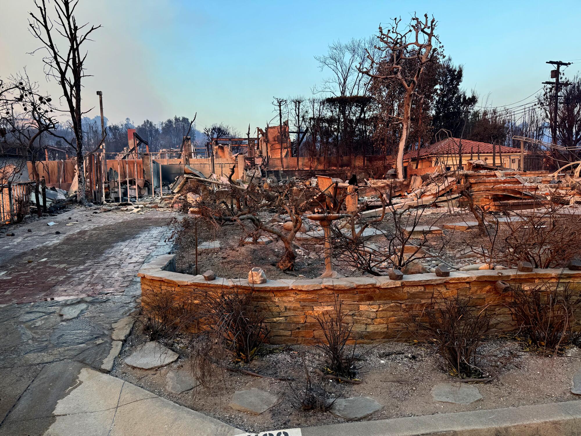 A lot with the burned frame of a house and charred bushes.
