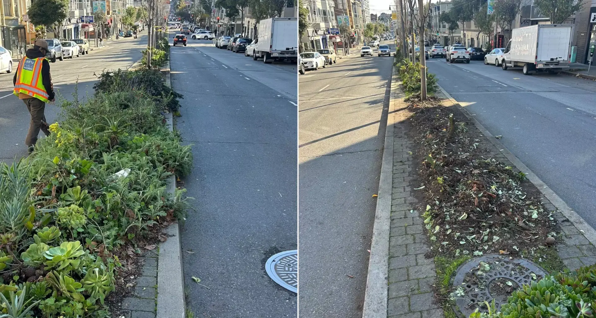 The San Francisco Standard