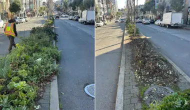 The San Francisco Standard