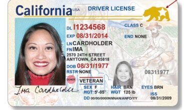 California loses $160M for delaying revocation of 17,000 commercial driver's licenses for immigrants
