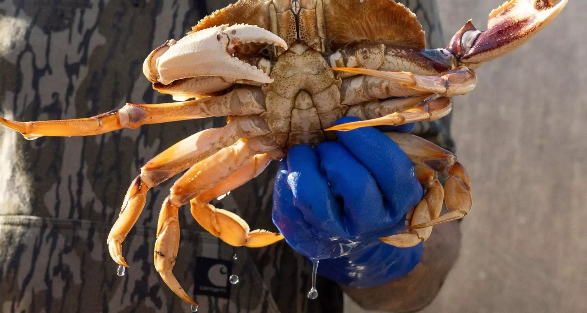 The San Francisco Standard