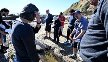 Cabrillo Marine Aquarium hosts beach exploration walk in San Pedro – Daily Breeze