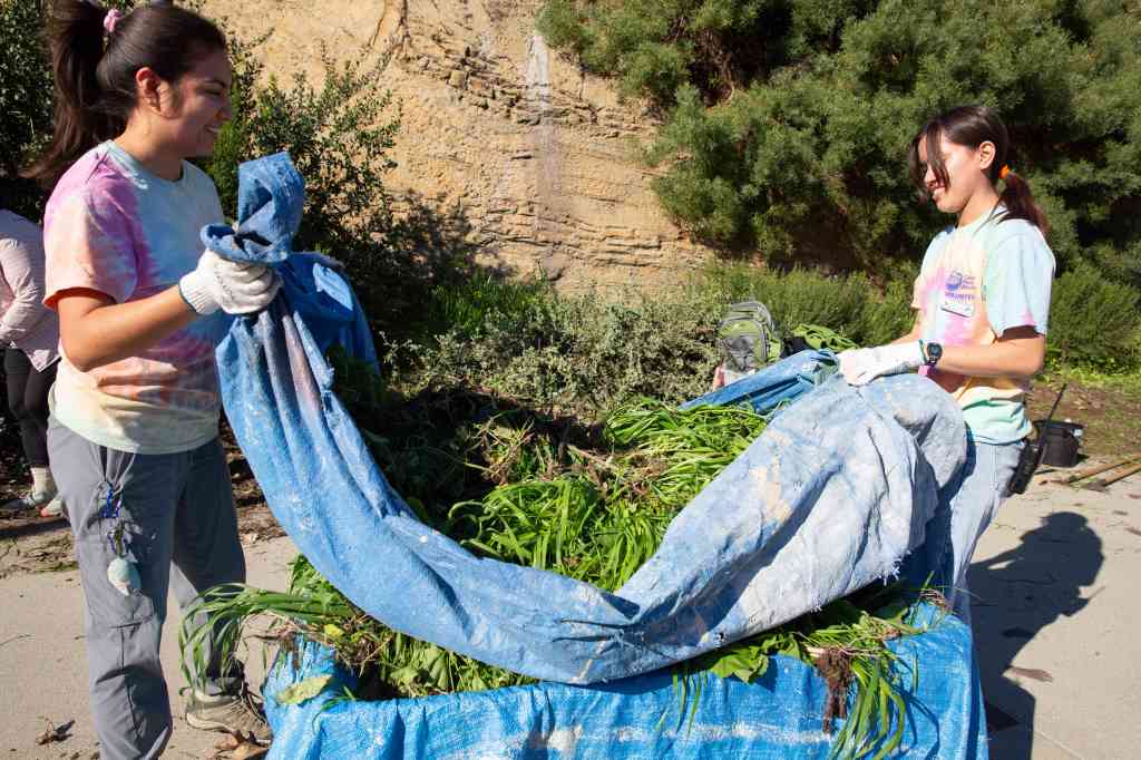 Cabrillo Aquarium native garden gets its monthly refresh in San Pedro – Press Telegram