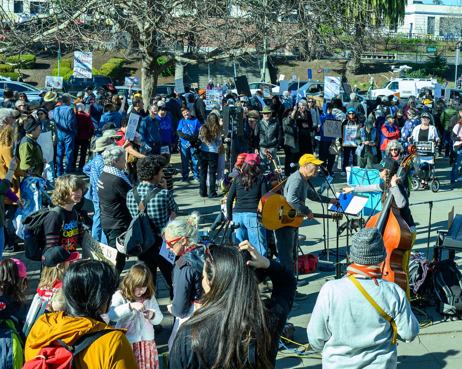 Protests Supporting Renee Good