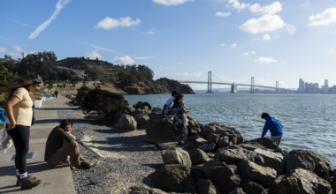 The San Francisco Standard