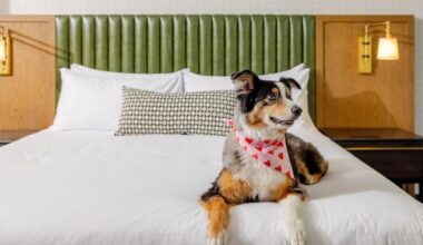 The Ultimate Valentine’s Day 2026 Guide To San Francisco