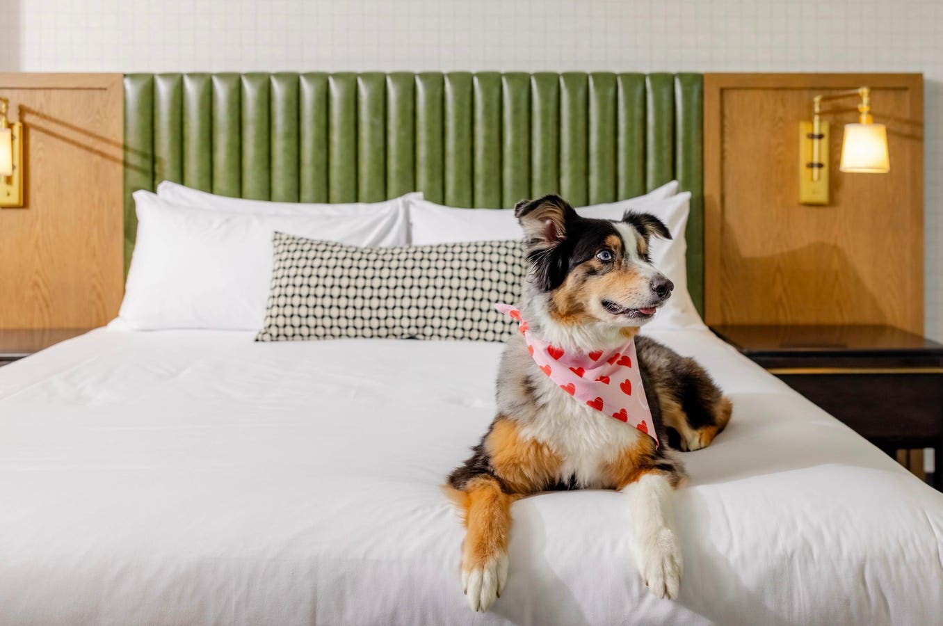 The Ultimate Valentine’s Day 2026 Guide To San Francisco