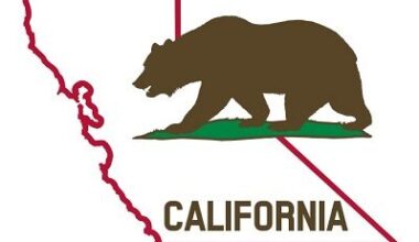 Gov. Newsom Announces Appointments -