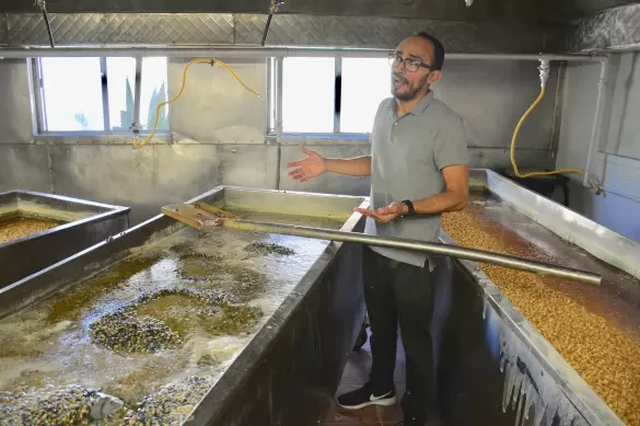 A man with medium skin tone, wearing a gray polo shirt and black pants, stands in between two metal tanks filed with nixtamal. Another tank is partially visible.