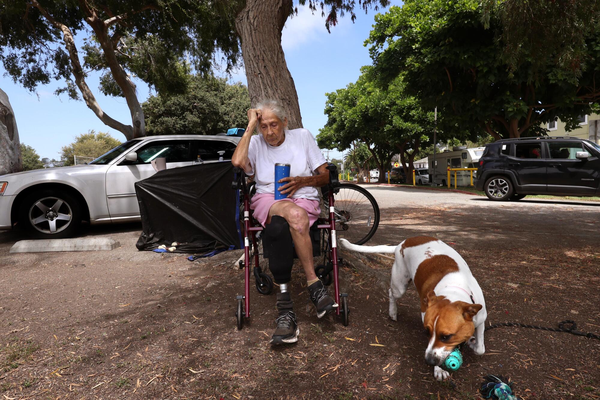 Vancie Davis, 73, sits under the shade of her favorite tree as her dog Heart plays in Penmar Park in Venice. 