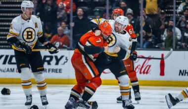 Anaheim Ducks acquire tough forward Jeffrey Viel from Boston Bruins in trade for 4th-round pick